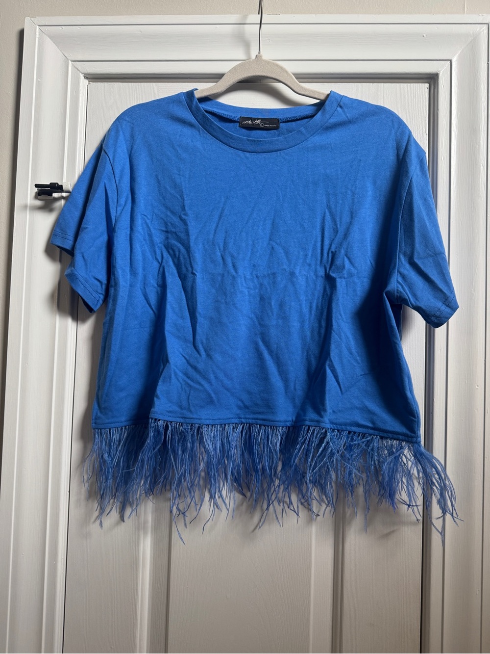 Blue Feather-Hem Short Sleeve Top from Vici